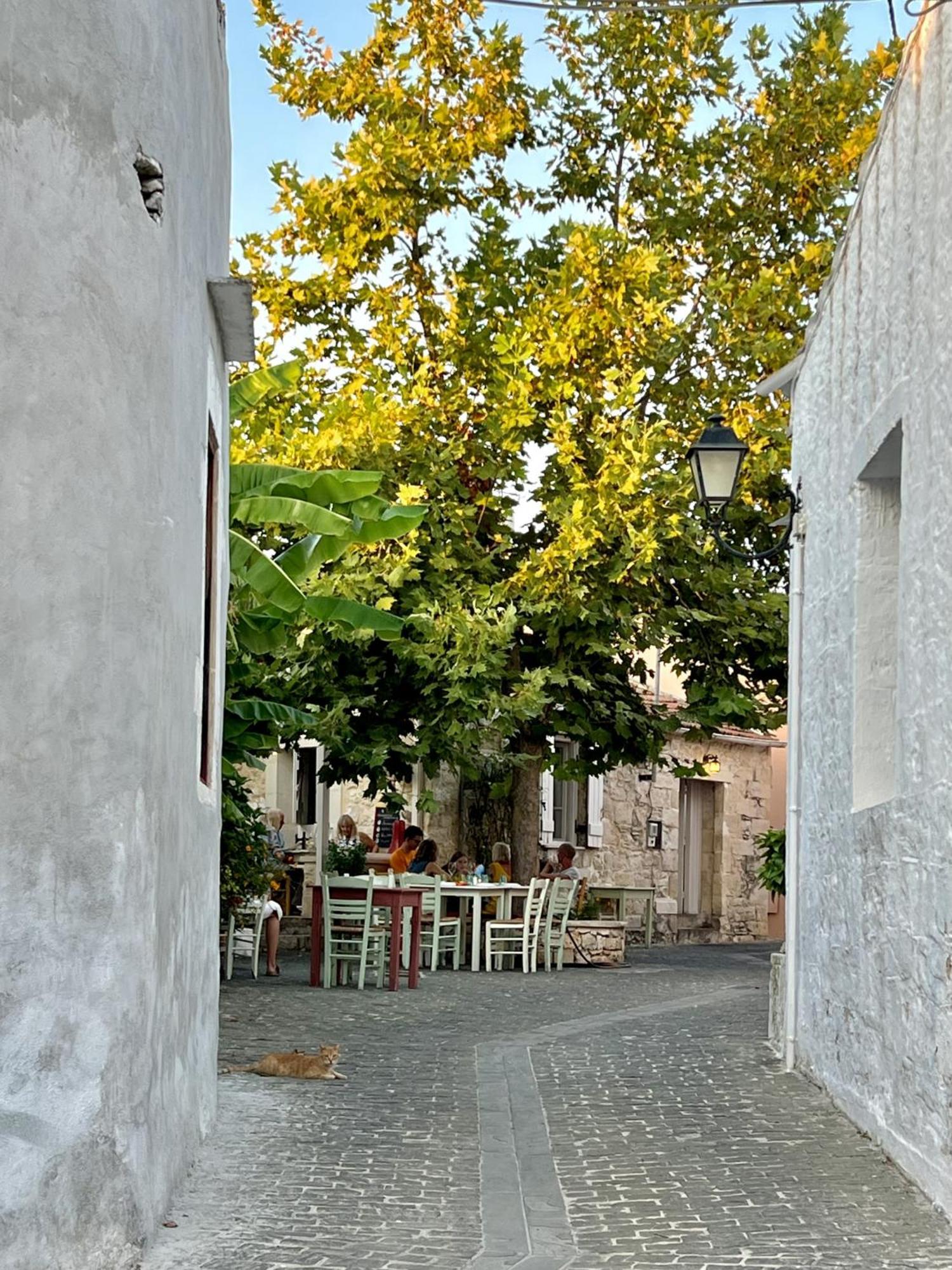 Villa Metapothia Gavalochori Crete Exteriör bild